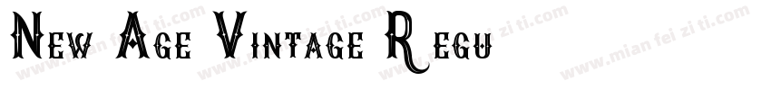 New Age Vintage Regu字体转换
